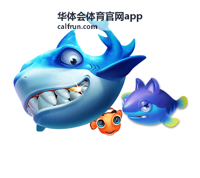 足球比赛直播画面与赛程时间表