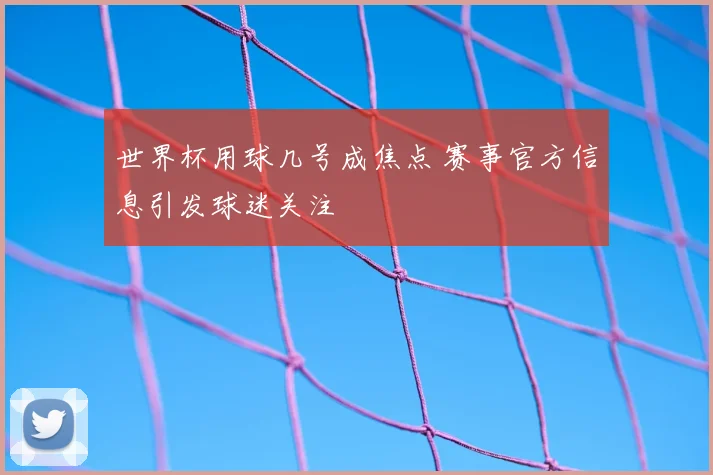 世界杯用球几号成焦点 赛事官方信息引发球迷关注