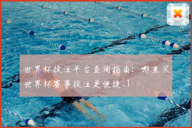 世界杯投注平台查询指南：哪里买世界杯赛事投注更便捷_1