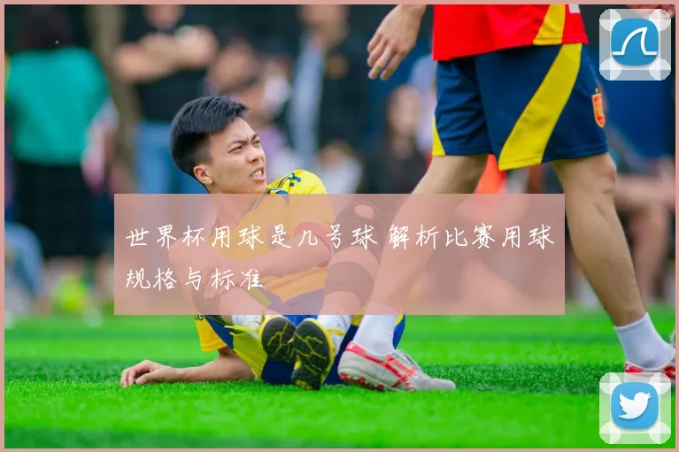世界杯用球是几号球 解析比赛用球规格与标准