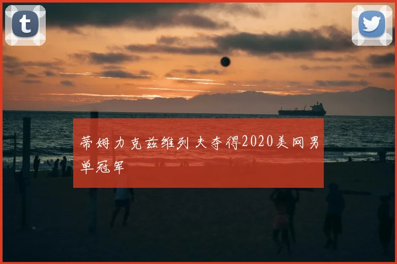 蒂姆力克兹维列夫夺得2020美网男单冠军