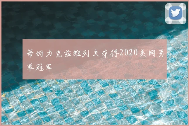 蒂姆力克兹维列夫夺得2020美网男单冠军