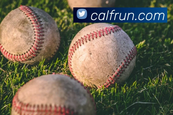 leyu乐鱼在线官网服务体系